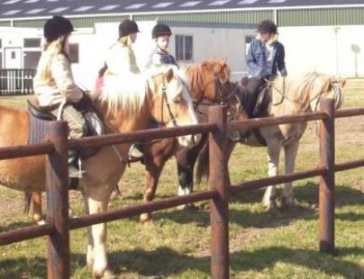 Lezen smal Blaast op Paardenomheining - Huet Bois